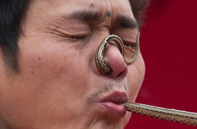 Daily Picdump [WEEKEND EDITION]