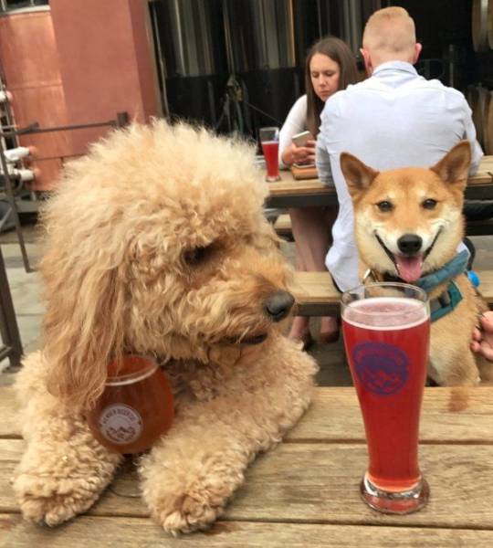 Daily Picdump [WEEKEND EDITION]