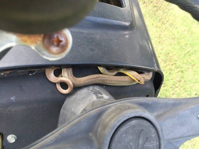 daily picdump weekend edition 73 pics 15.html - 73 HD Photos | Premium Gallery 2017