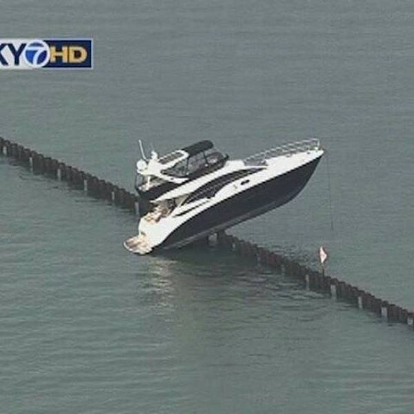 daily picdump weekend edition 73 pics 15.html - 73 HD Photos | Premium Gallery 2017