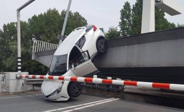 daily picdump weekend edition 73 pics 15.html - 73 HD Photos | Premium Gallery 2017