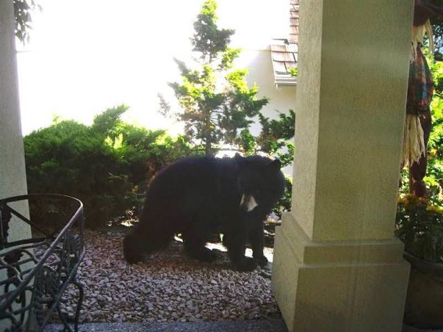 daily picdump weekend edition 73 pics 15.html - 73 HD Photos | Premium Gallery 2017