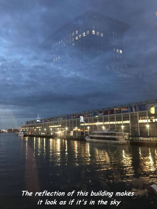 daily picdump weekend edition 73 pics 15.html - 73 HD Photos | Premium Gallery 2017