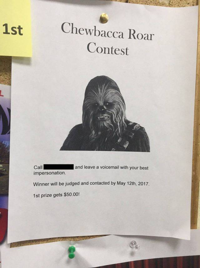 daily picdump weekend edition 73 pics 15.html - 73 HD Photos | Premium Gallery 2017