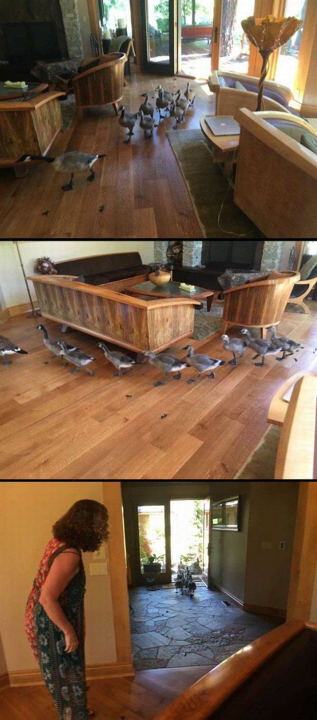 daily picdump weekend edition 73 pics 15.html - 73 HD Photos | Premium Gallery 2017