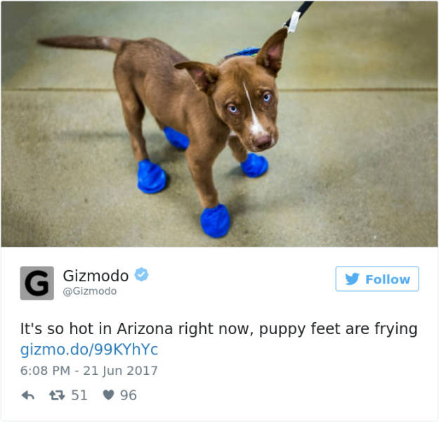 Arizona Is Frying And Melting. Literally