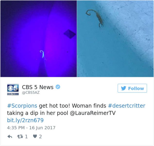 Arizona Is Frying And Melting. Literally