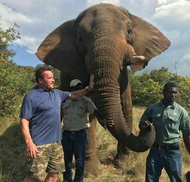 daily picdump 108 pics 39.html - 108 HD Photos | Premium Gallery 2017