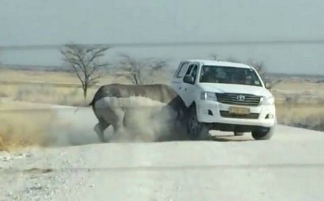 daily picdump 108 pics 39.html - 108 HD Photos | Premium Gallery 2017