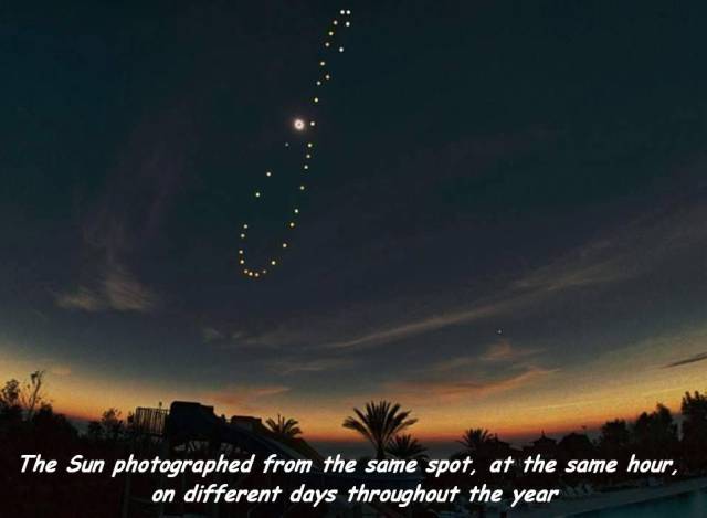 daily picdump 108 pics 39.html - 108 HD Photos | Premium Gallery 2017