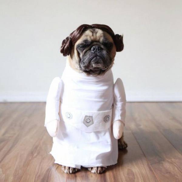 daily picdump 108 pics 39.html - 108 HD Photos | Premium Gallery 2017