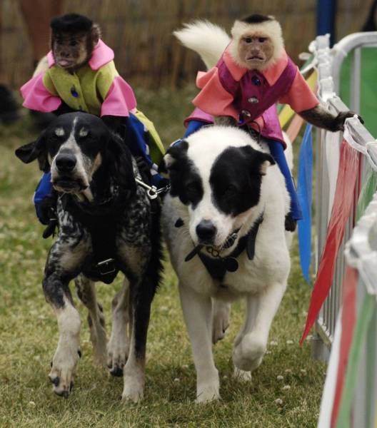 daily picdump 108 pics 39.html - 108 HD Photos | Premium Gallery 2017