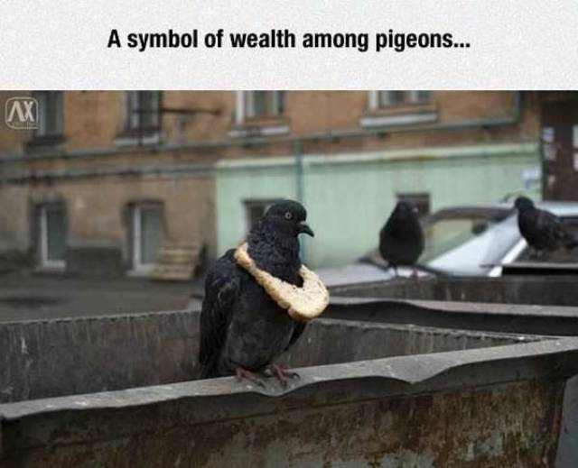 daily picdump 108 pics 39.html - 108 HD Photos | Premium Gallery 2017