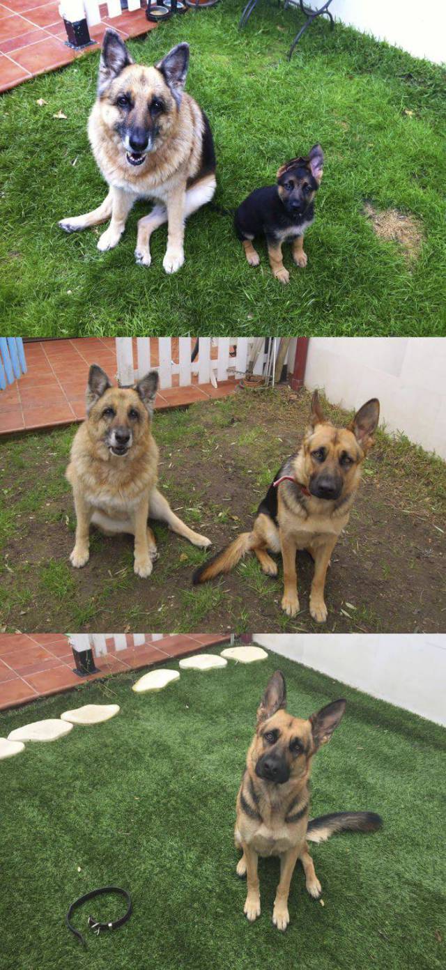 daily picdump 108 pics 39.html - 108 HD Photos | Premium Gallery 2017