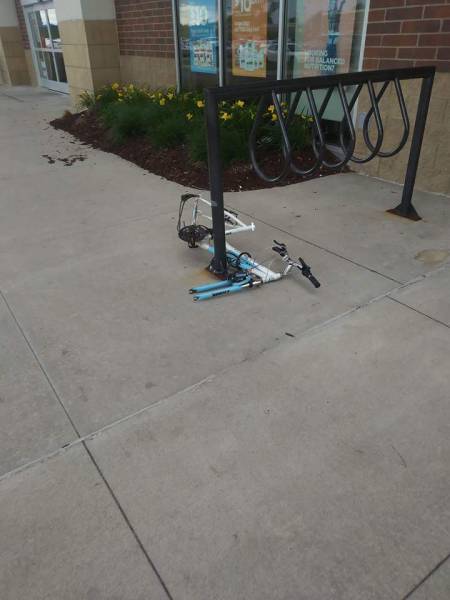 funny picdump 52 pics 14.html - 52 HD Photos | Premium Gallery 2017