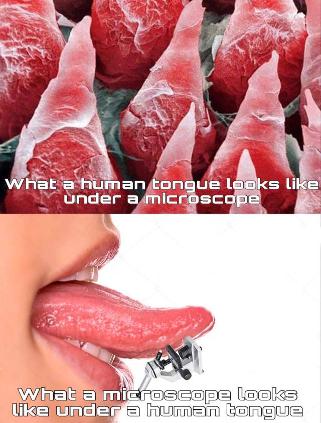 Funny Picdump