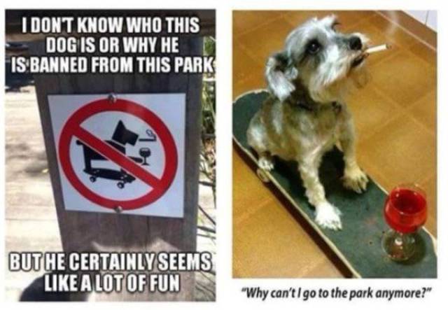 Have You Ever Been So Drunk...?