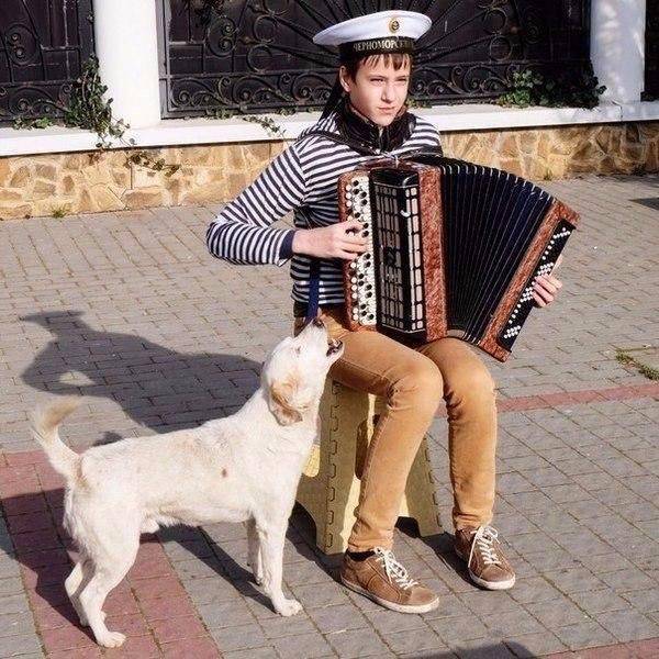 daily picdump 95 pics 35.html - 95 HD Photos | Premium Gallery 2017