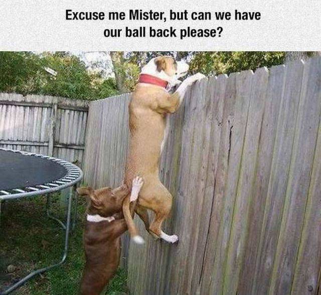 daily picdump 95 pics 35.html - 95 HD Photos | Premium Gallery 2017