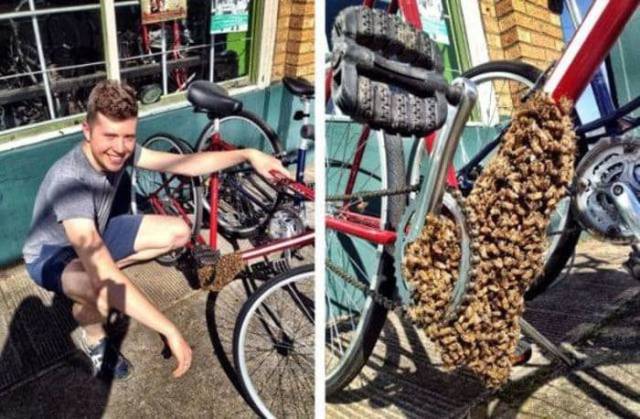 daily picdump 95 pics 35.html - 95 HD Photos | Premium Gallery 2017