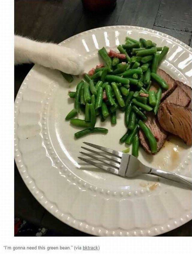 daily picdump 95 pics 35.html - 95 HD Photos | Premium Gallery 2017