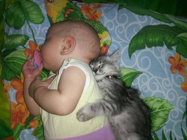 daily picdump 90 pics 18.html - 90 HD Photos | Premium Gallery 2017