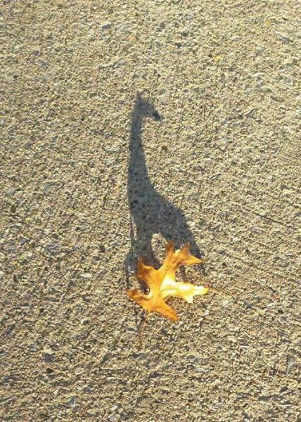 morning picdump 53 pics 2.html - 53 HD Photos | Premium Gallery 2017
