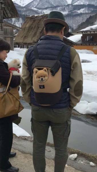 morning picdump 53 pics 2.html - 53 HD Photos | Premium Gallery 2017