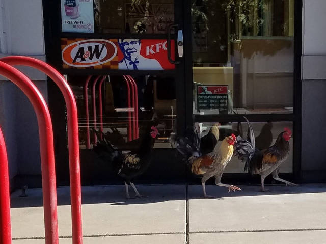 morning picdump 53 pics 2.html - 53 HD Photos | Premium Gallery 2017