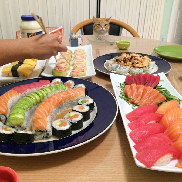 morning picdump 51 pics 19.html - 51 HD Photos | Premium Gallery 2017