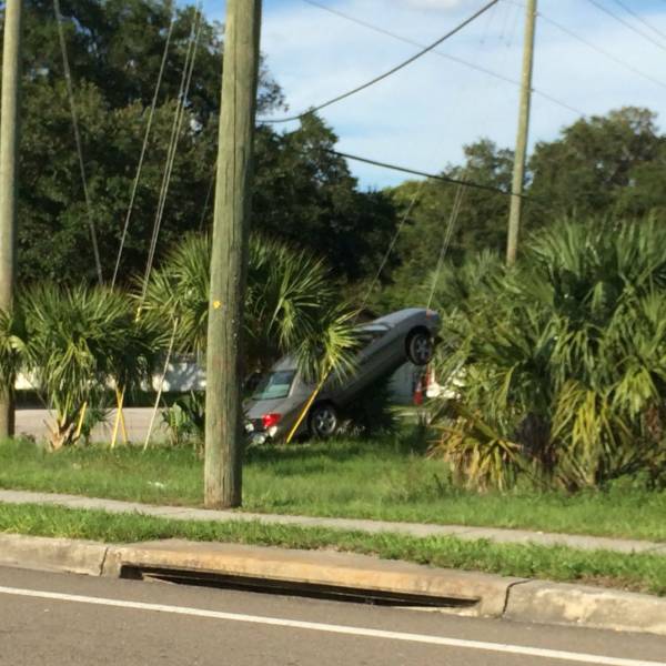 morning picdump 51 pics 19.html - 51 HD Photos | Premium Gallery 2017