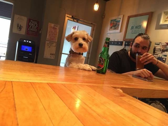 morning picdump 51 pics 19.html - 51 HD Photos | Premium Gallery 2017