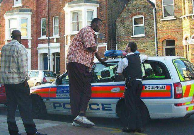 daily picdump 96 pics 31.html - 96 HD Photos | Premium Gallery 2017