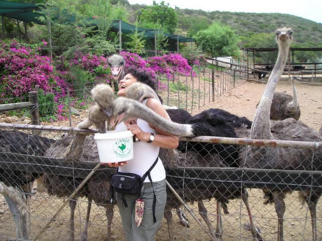 daily picdump 96 pics 31.html - 96 HD Photos | Premium Gallery 2017