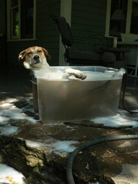 daily picdump 96 pics 31.html - 96 HD Photos | Premium Gallery 2017