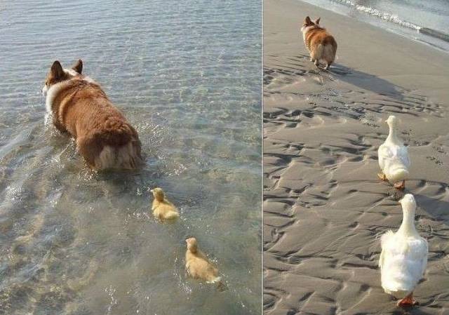 daily picdump 96 pics 31.html - 96 HD Photos | Premium Gallery 2017