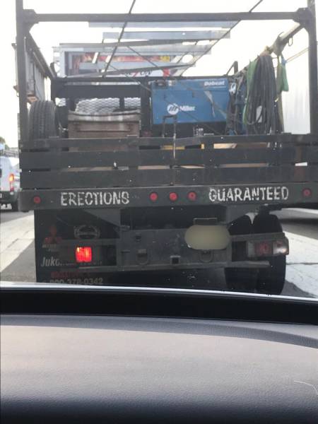 Morning Picdump