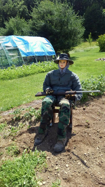 morning picdump 52 pics 25.html - 52 HD Photos | Premium Gallery 2017