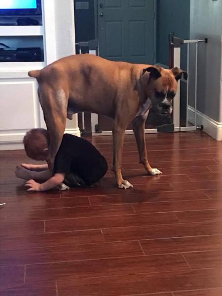 morning picdump 52 pics 25.html - 52 HD Photos | Premium Gallery 2017