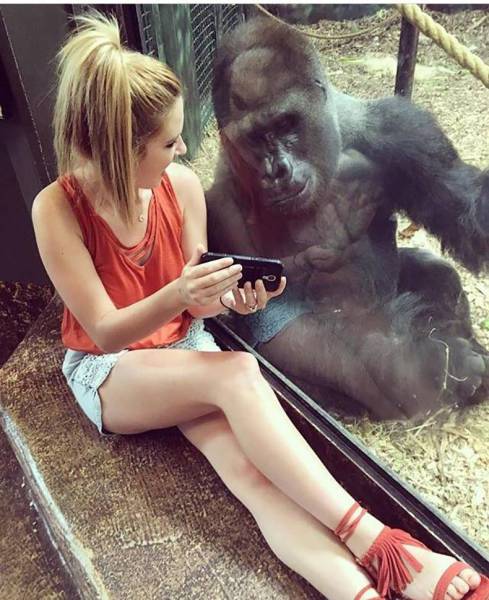 Daily Picdump [WEEKEND EDITION]