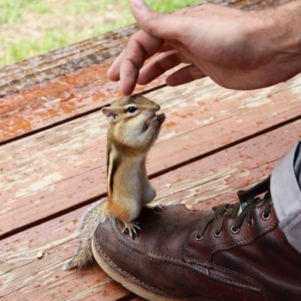 Daily Picdump