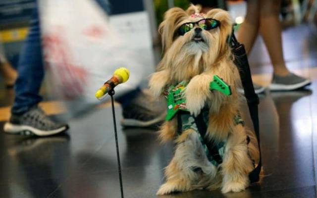 daily picdump 109 pics 35.html - 109 HD Photos | Premium Gallery 2017