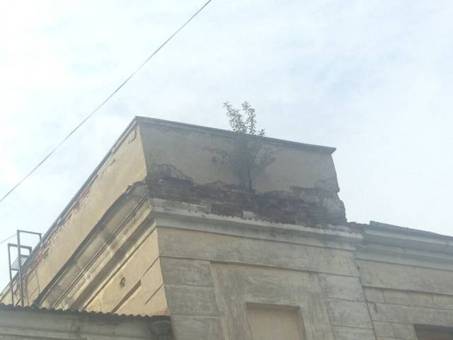 daily picdump 93 pics 25.html - 93 HD Photos | Premium Gallery 2017