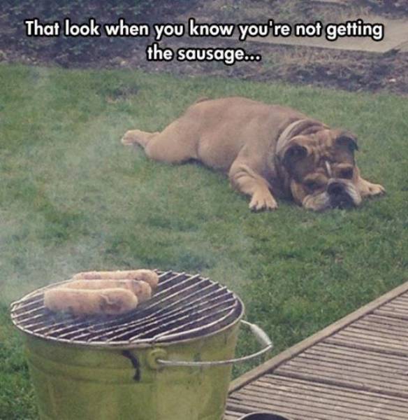 daily picdump 93 pics 25.html - 93 HD Photos | Premium Gallery 2017