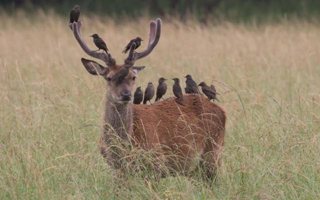 daily picdump 93 pics 25.html - 93 HD Photos | Premium Gallery 2017