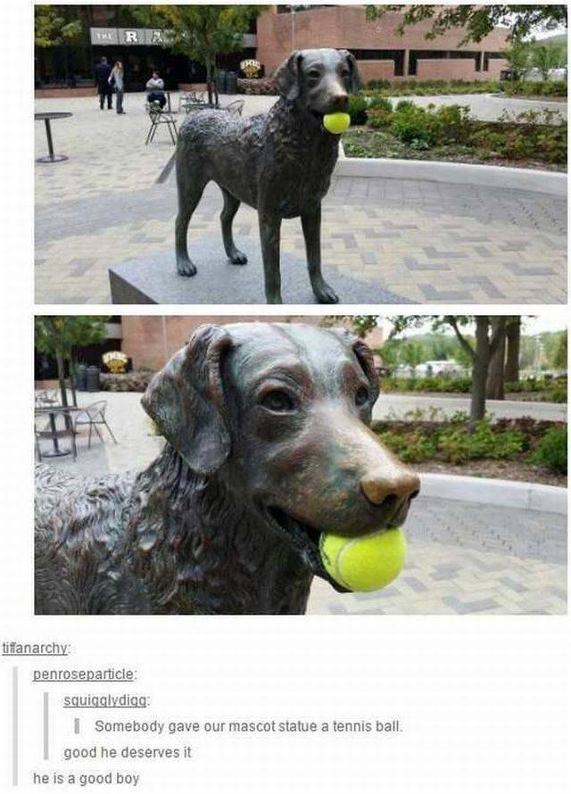 daily picdump 93 pics 25.html - 93 HD Photos | Premium Gallery 2017