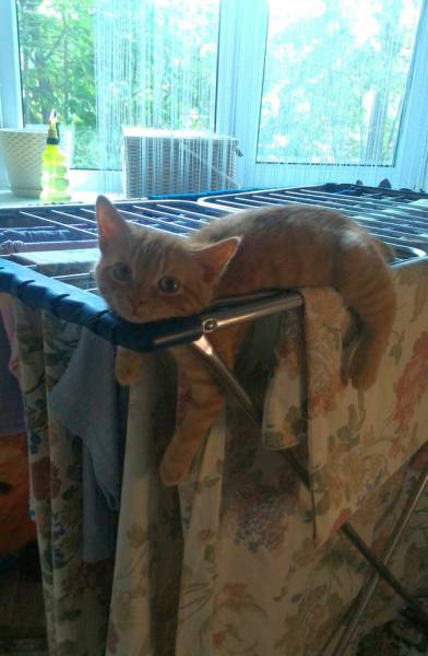 Morning Picdump