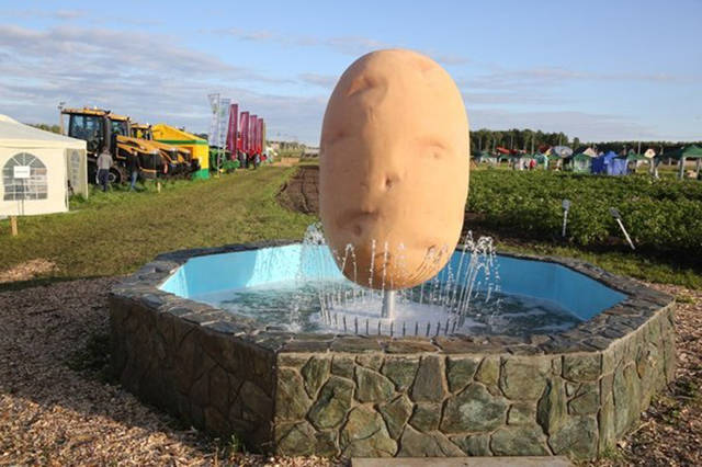 Morning Picdump
