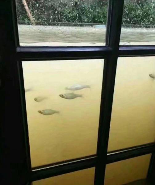 Morning Picdump