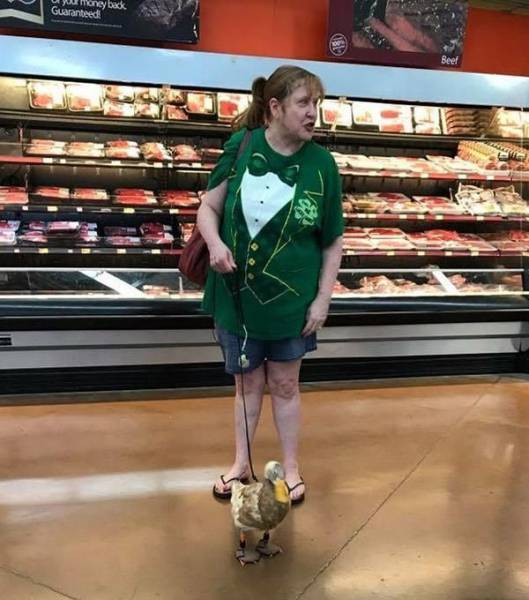 Daily Picdump